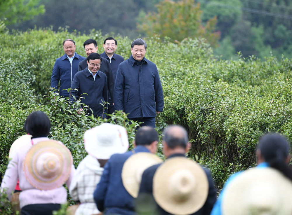 2020年4月21日，習近平來到陜西省安康市平利縣老縣鎮(zhèn)，在茶園考察脫貧攻堅情況。新華社記者 燕雁 攝